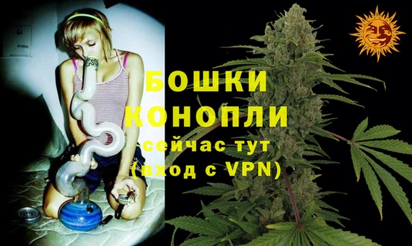 альфа пвп Няндома