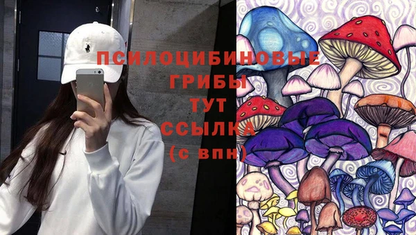 ешки Осташков