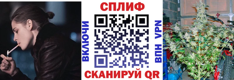 Конопля AK-47  где найти   Кологрив 